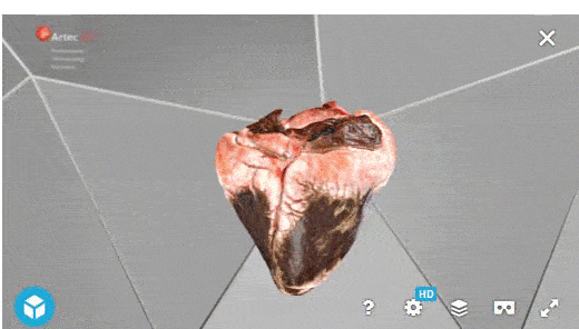 escaner 3D space spider - corazon bobino